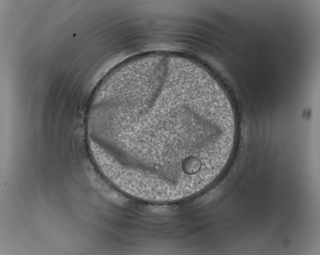 X0000112171025200909041146