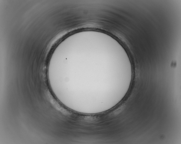 X0000112171029200909041146