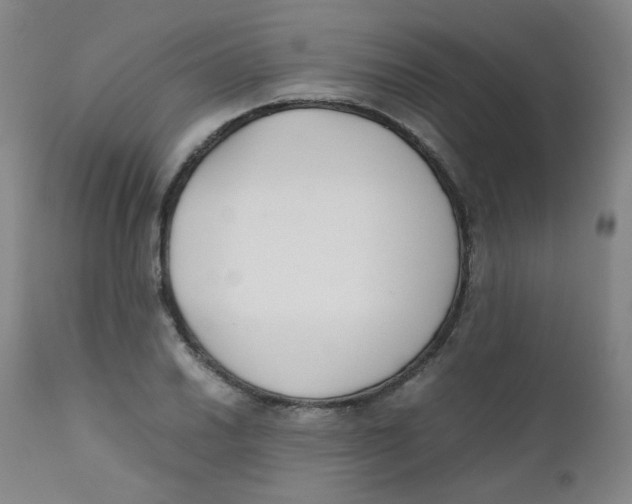 X0000112171030200909041146