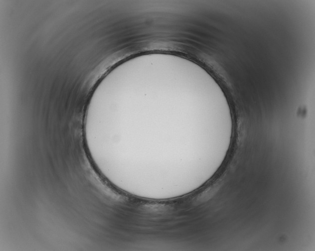 X0000112171033200909041146