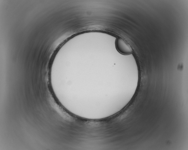 X0000112171034200909041146