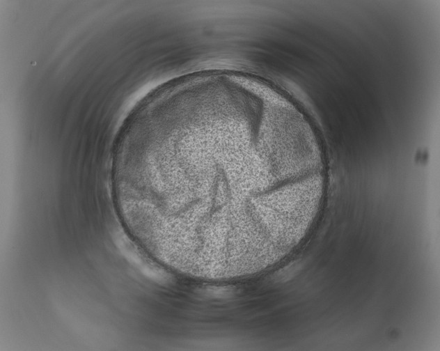 X0000112171035200909041146