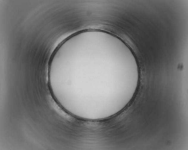 X0000112171036200909041146