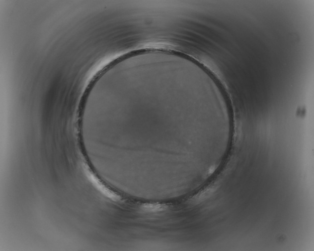 X0000112171037200909041146