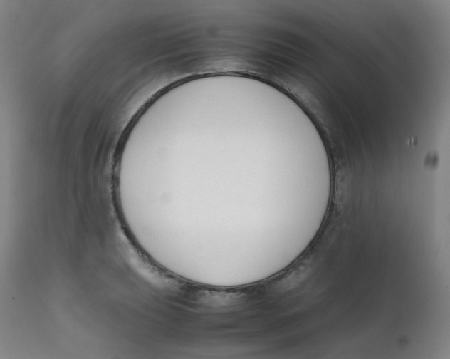 X0000112171039200909041146