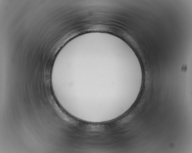 X0000112171041200909041146