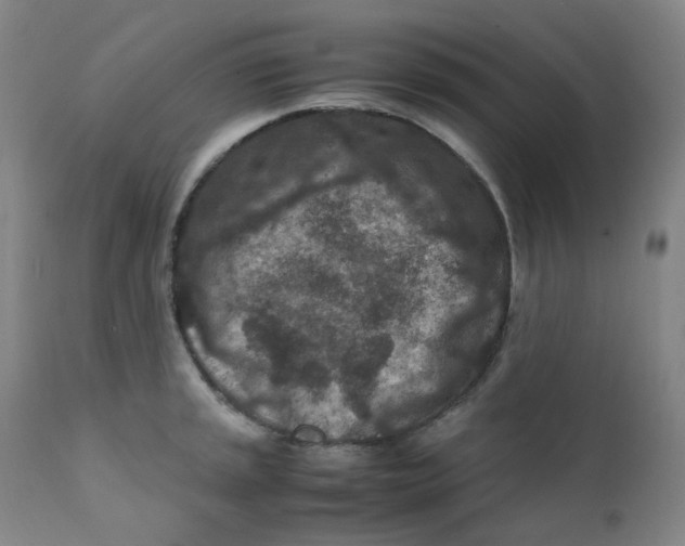 X0000112171045200909041146