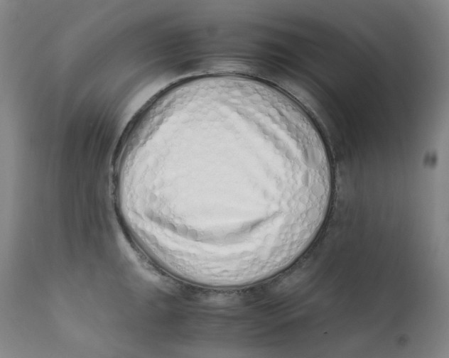 X0000112171047200909041146