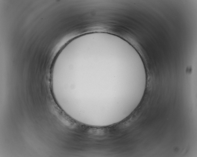 X0000112171051200909041146