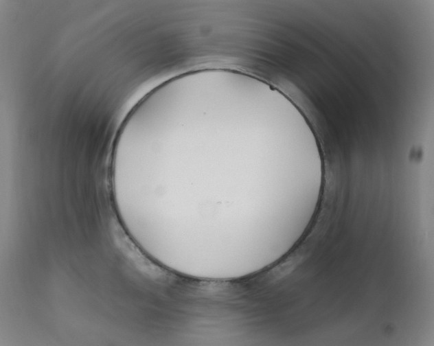 X0000112171052200909041146