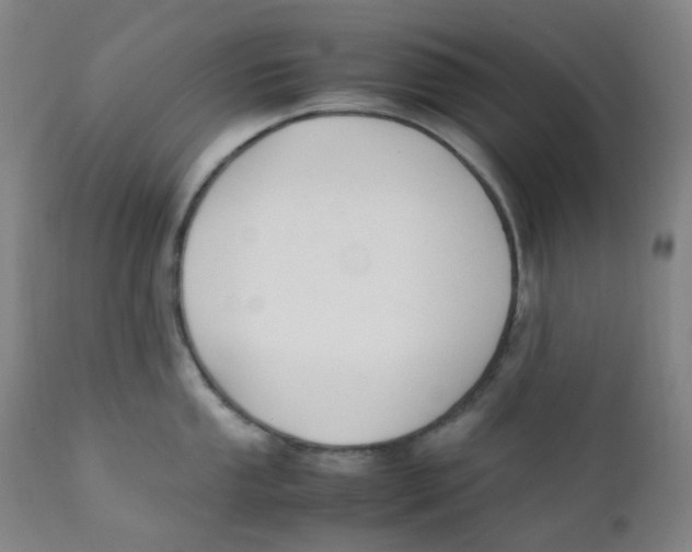 X0000112171053200909041146