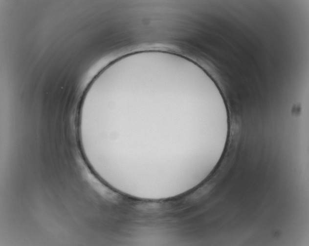 X0000112171054200909041146