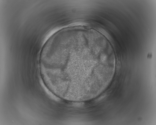 X0000112171055200909041146