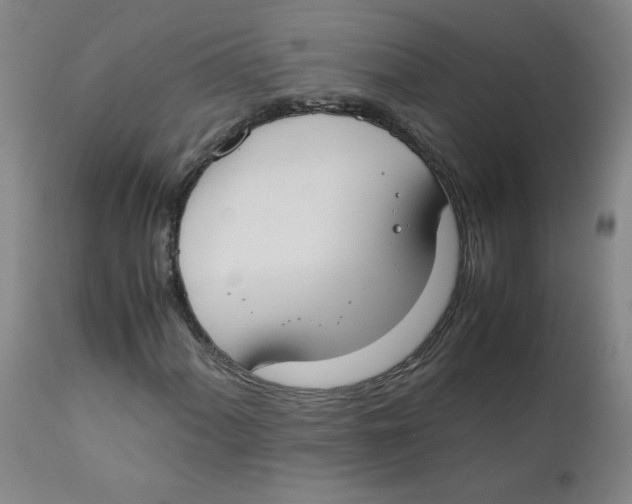 X0000112171060200909041145