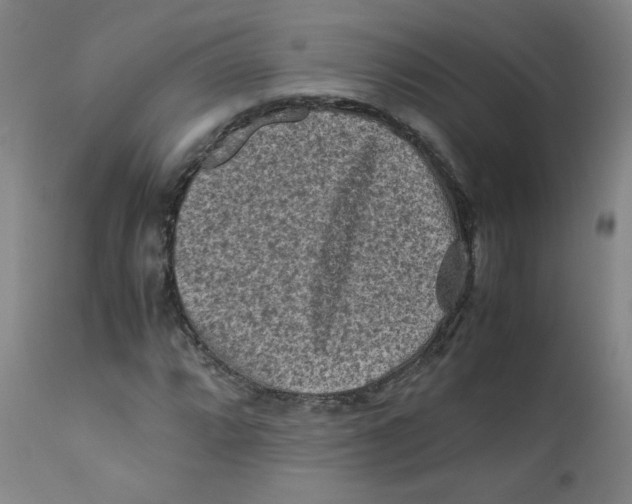 X0000112171064200909041145