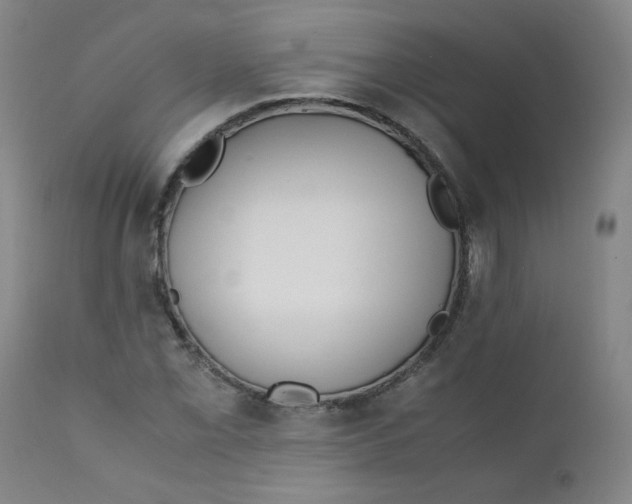 X0000112171069200909041145