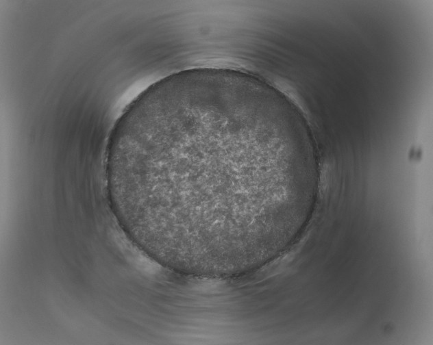 X0000112171071200909041145