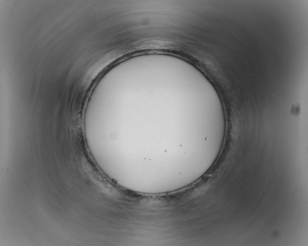 X0000112171073200909041145