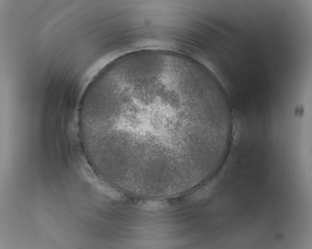 X0000112171074200909041145