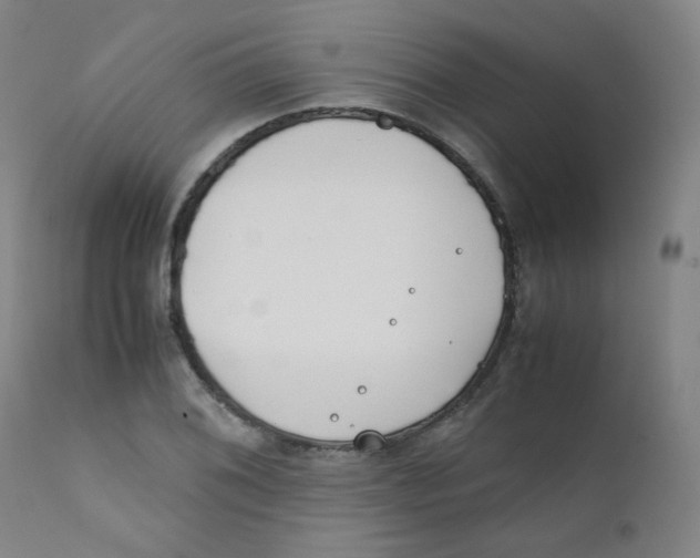 X0000112171076200909041145