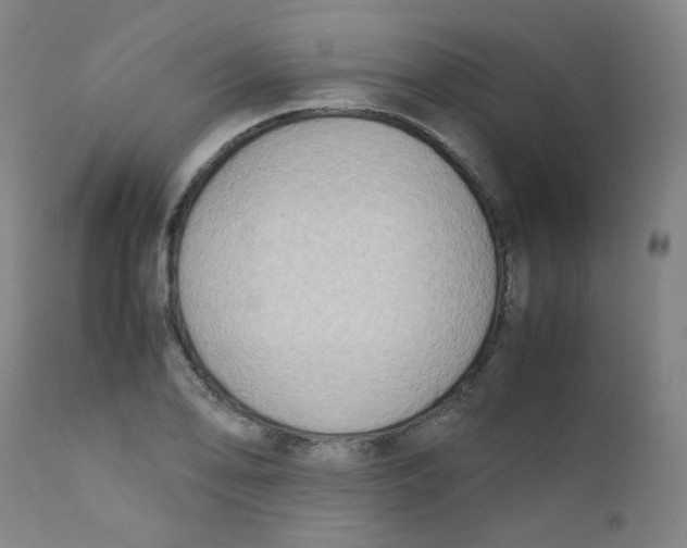 X0000112171078200909041145