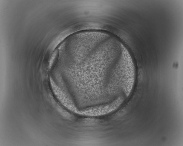 X0000112171081200909041145