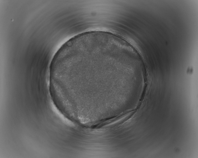 X0000112171084200909041145