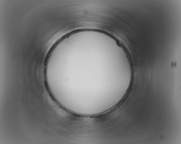 X0000112171085200909041145