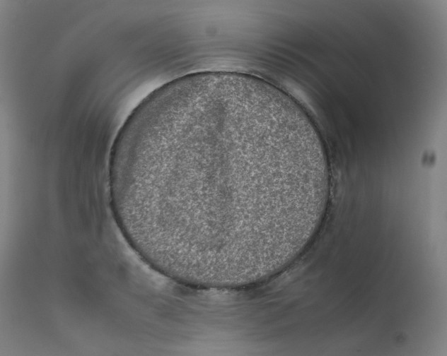 X0000112171087200909041145