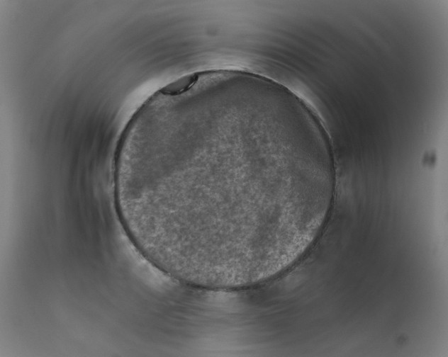 X0000112171088200909041145