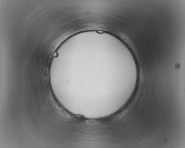 X0000112171089200909041145