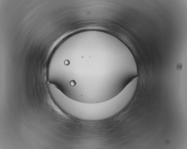 X0000112171092200909041145