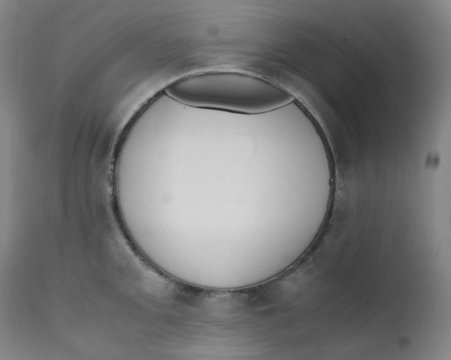 X0000112171093200909041145