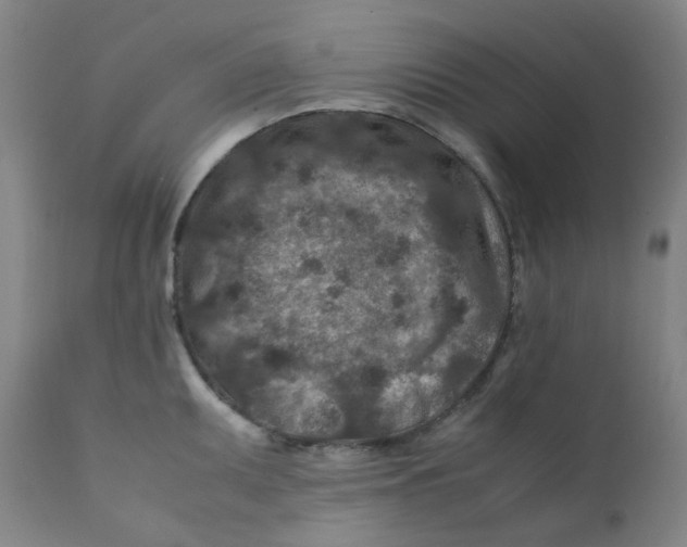 X0000112171095200909041145