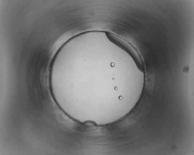 X0000112171096200909041145