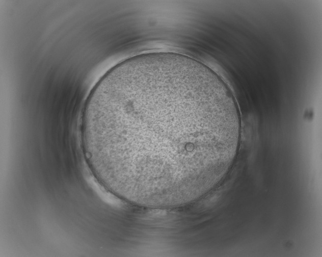 X0000112171098200909041145