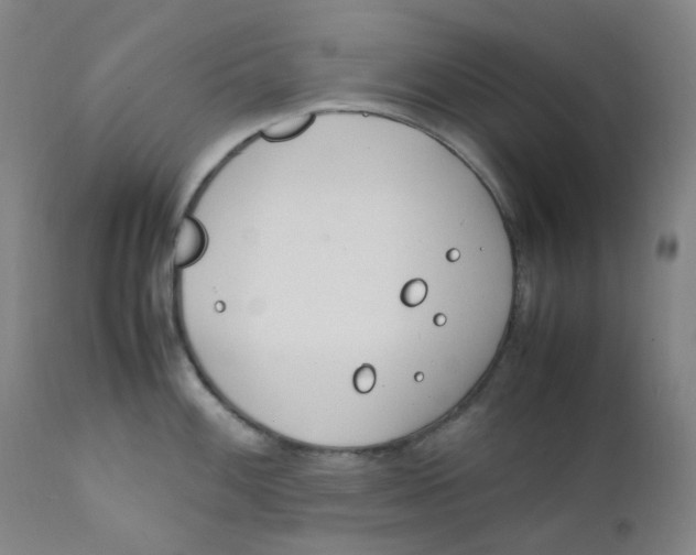 X0000112171100200909041145