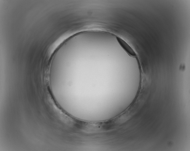 X0000112171101200909041145