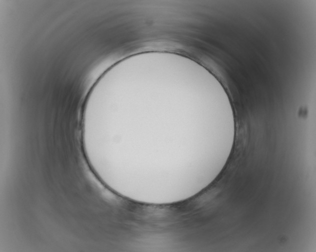 X0000112171103200909041145