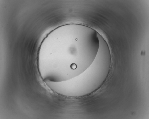 X0000112171104200909041145