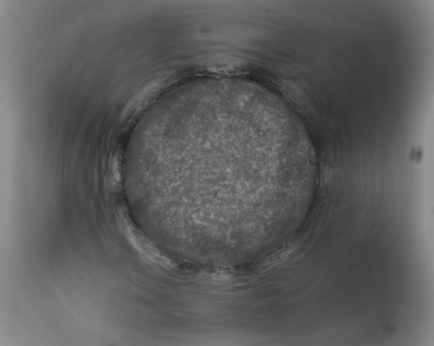 X0000112171106200909041144