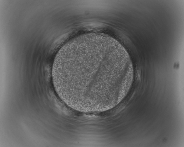 X0000112171108200909041144