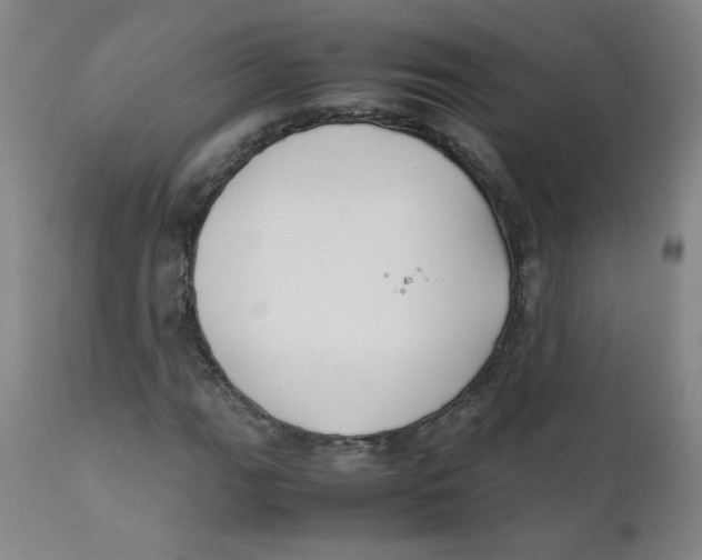 X0000112171111200909041144