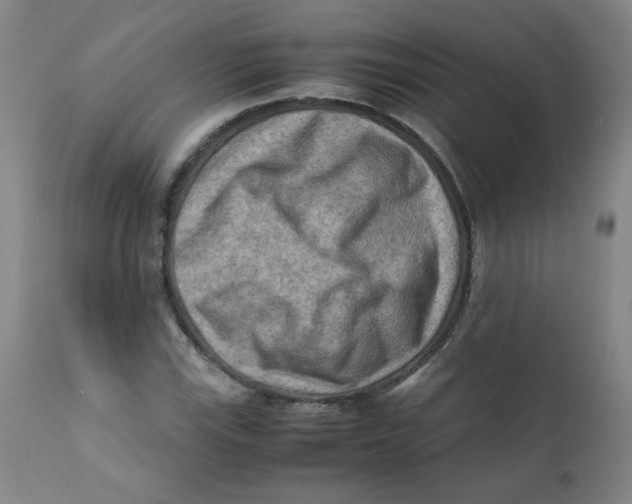 X0000112171115200909041144