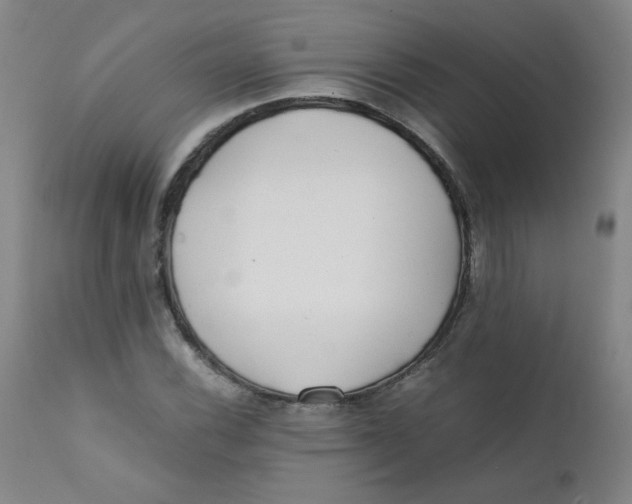 X0000112171116200909041144