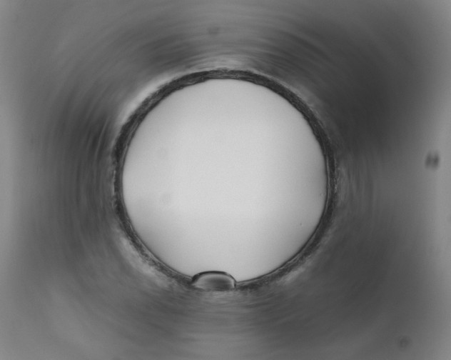 X0000112171118200909041144