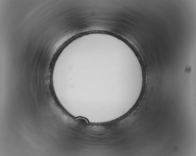 X0000112171119200909041144