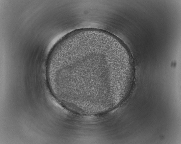 X0000112171120200909041144