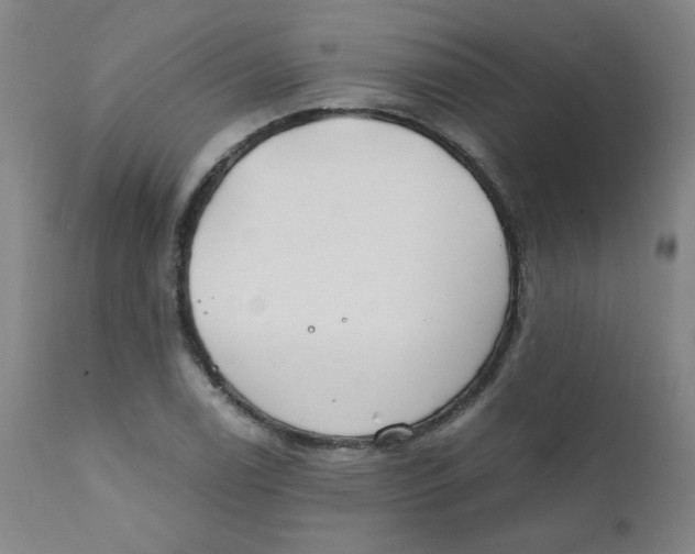 X0000112171122200909041144