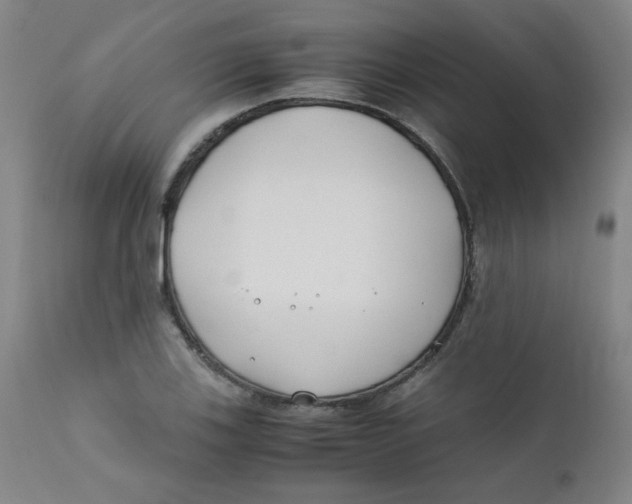 X0000112171123200909041144